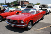 Mustang